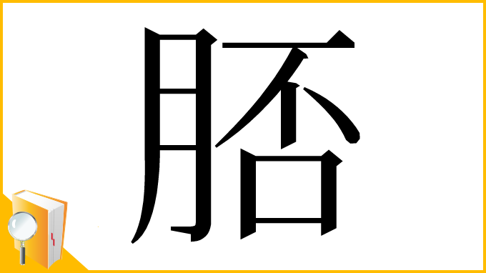 漢字「脴」