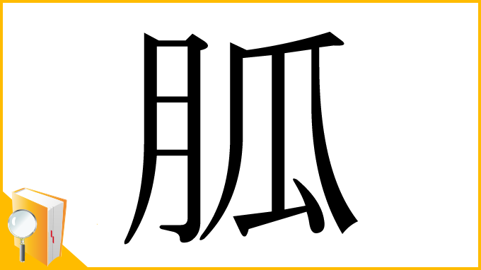 漢字「胍」