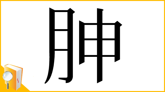 漢字「胂」