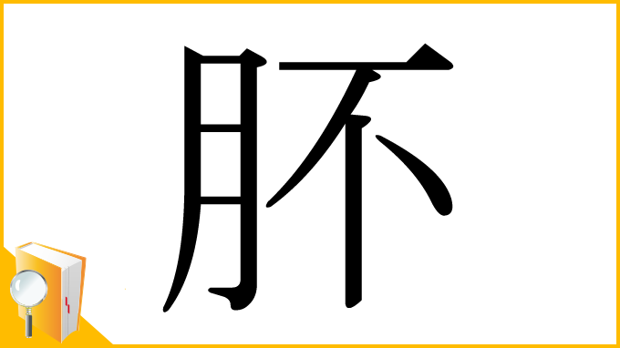 漢字「肧」
