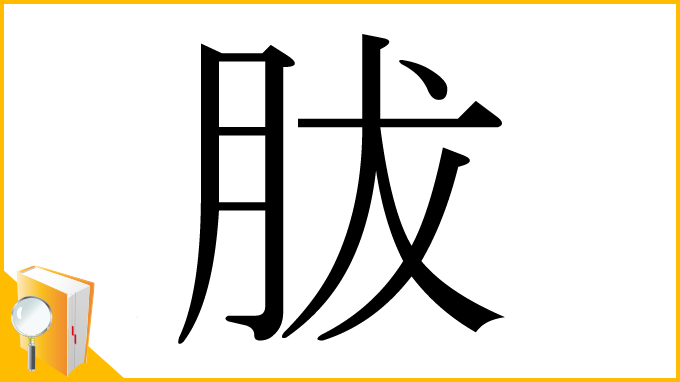 漢字「胈」