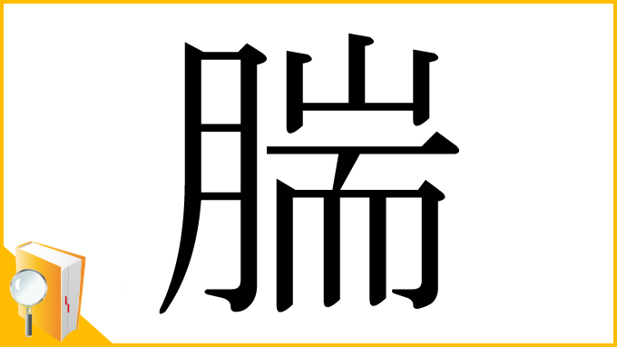漢字「腨」