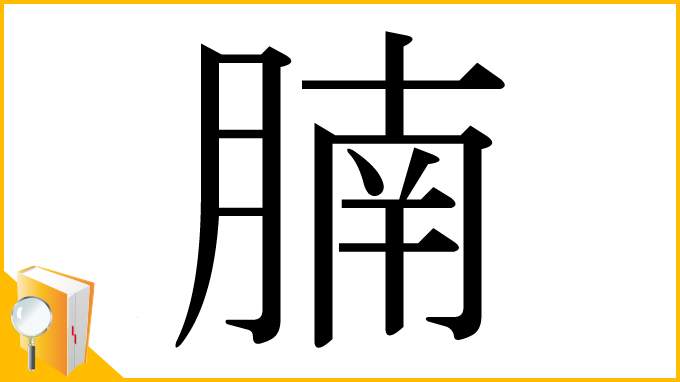 漢字「腩」