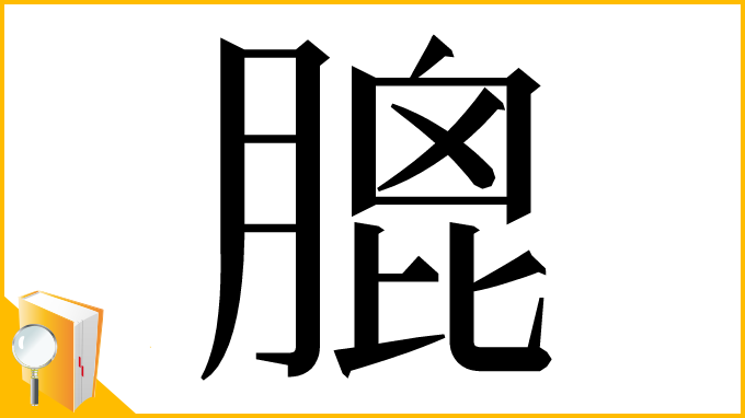 漢字「膍」