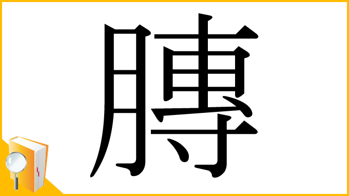 漢字「膞」