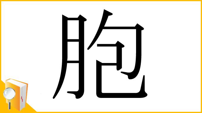 漢字「胞」