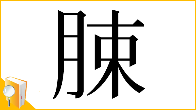 漢字「脨」
