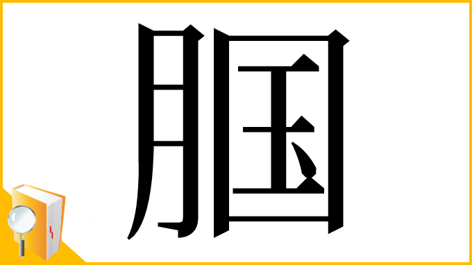 漢字「腘」