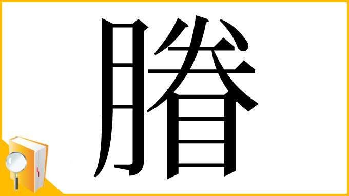 漢字「膡」