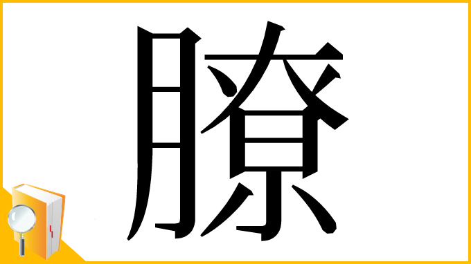 漢字「膫」