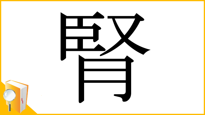 漢字「腎」