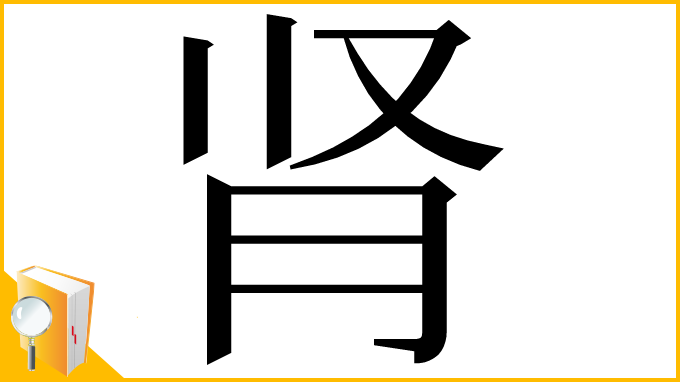 漢字「肾」