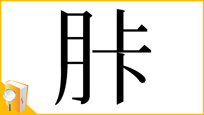 漢字「胩」