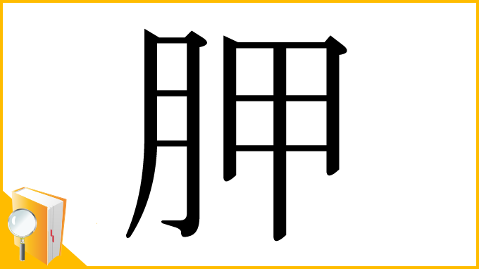 漢字「胛」