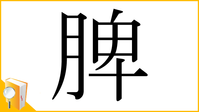 漢字「脾」