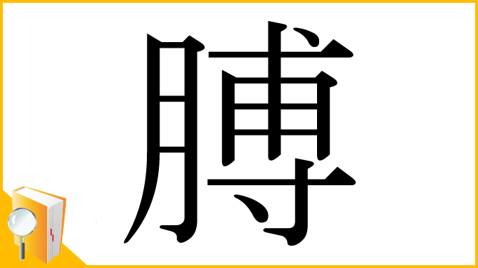 漢字「膊」
