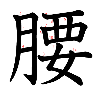 腰の教科書体(筆順付き)