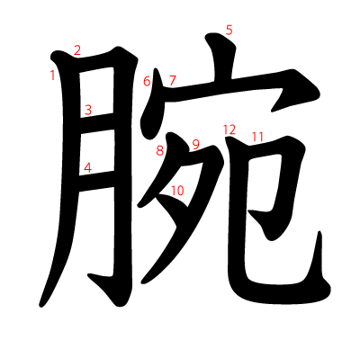 腕の教科書体(筆順付き)