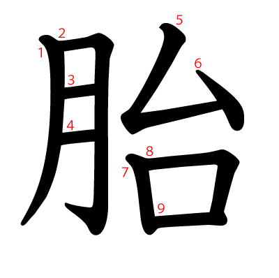 漢字 胎 の部首 画数 読み方 筆順 意味など