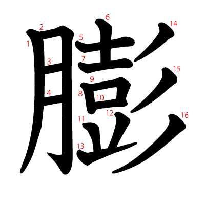 膨の教科書体(筆順付き)