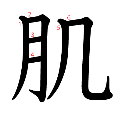 肌の教科書体(筆順付き)