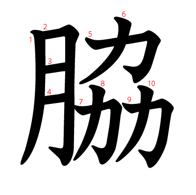 脇の教科書体(筆順付き)