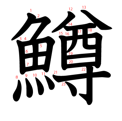 鱒の教科書体(筆順付き)