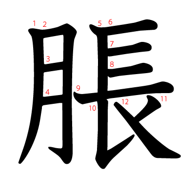 脹の教科書体(筆順付き)