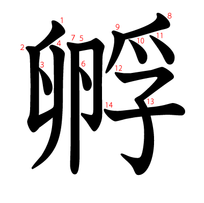 孵の教科書体(筆順付き)