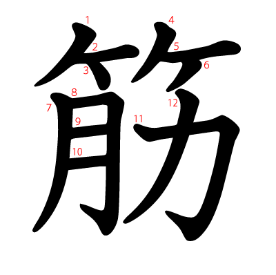 筋の教科書体(筆順付き)