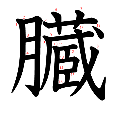 臓の教科書体(筆順付き)