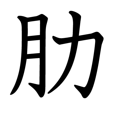 肋の教科書体
