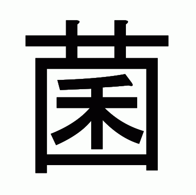 菌のゴシック体