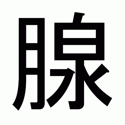 腺のゴシック体