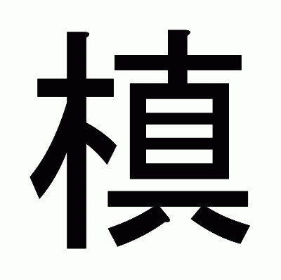 槙のゴシック体