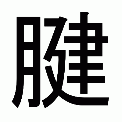 腱のゴシック体