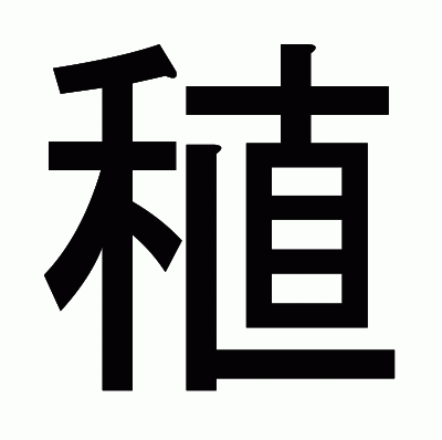 稙のゴシック体