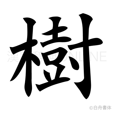 樹の楷書体