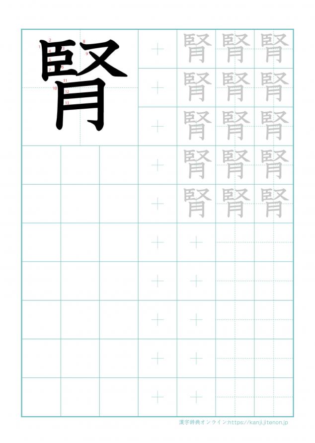 漢字「腎」の練習帳